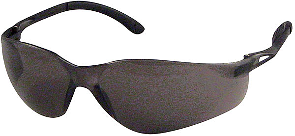 Dentec 12E90802, SenTec w/rubberized temple tips, gray lens, CSA