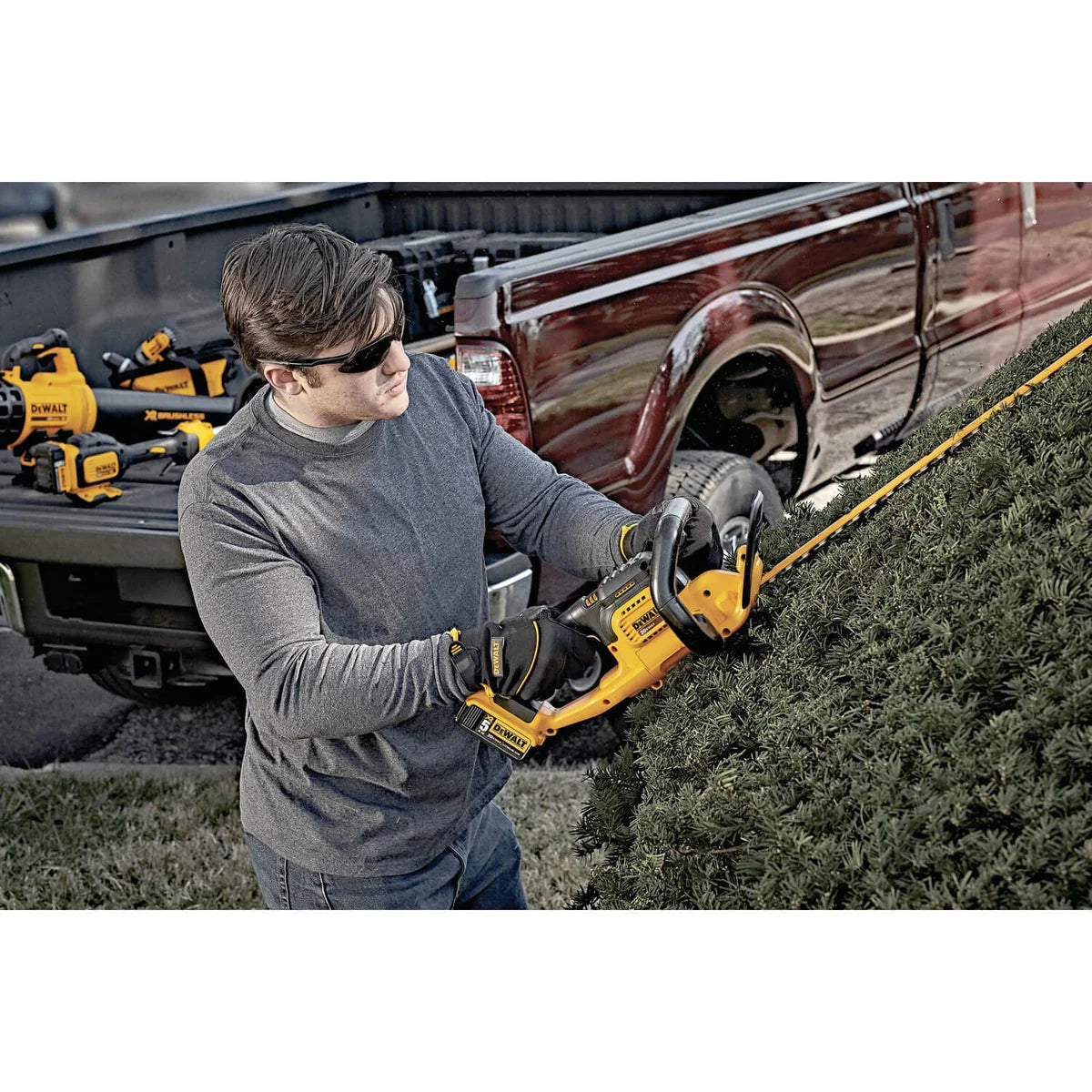 DEWALT DCHT820P1, 20V MAX Li-Ion 22'' Hedge Trimmer (5.0Ah)