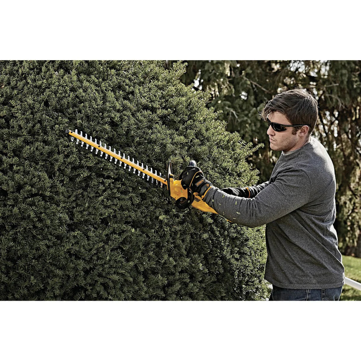 DEWALT DCHT820P1, 20V MAX Li-Ion 22'' Hedge Trimmer (5.0Ah)